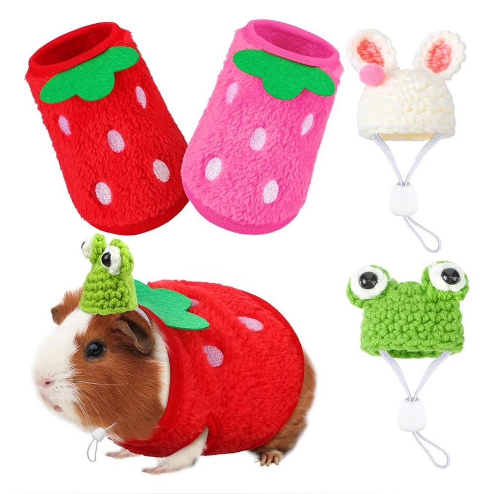 Strawberry and Frog Costume Set for Small Pets(Bunny, Guinea pig)